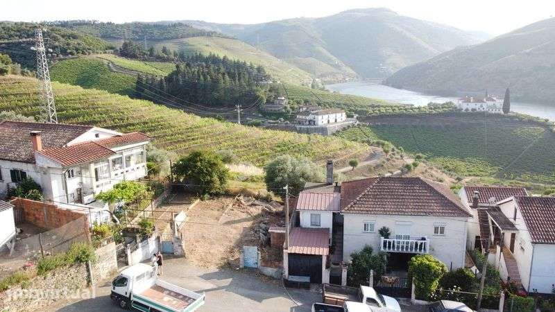 Terreno Folgosa com vista para o rio Douro - Grande imagem: 2/3