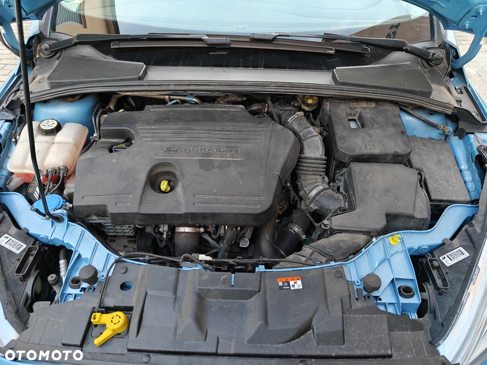Ford Focus - 16