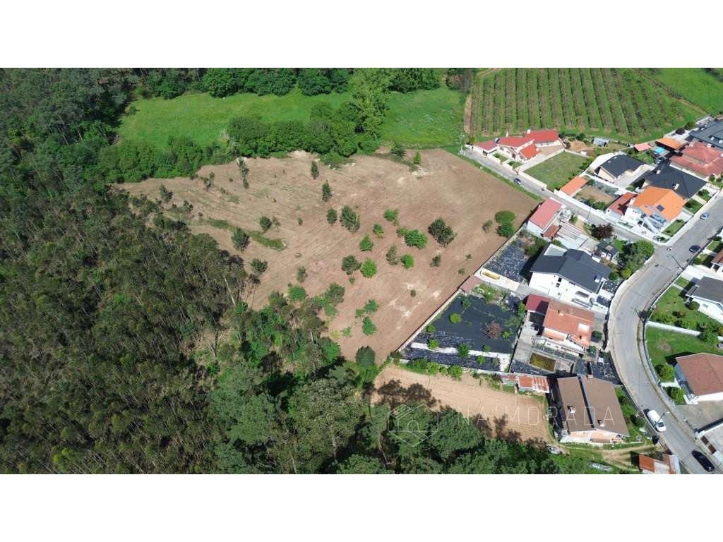 Terreno misto com 11.500m2 em Pigeiros, junto ao nó da A32 - Grande imagem: 3/21