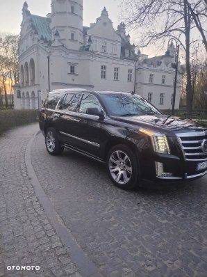 Cadillac Escalade - 8