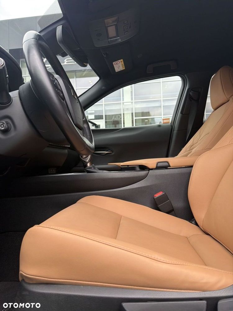 Lexus UX 250h GPF F Sport Design 2WD - 11