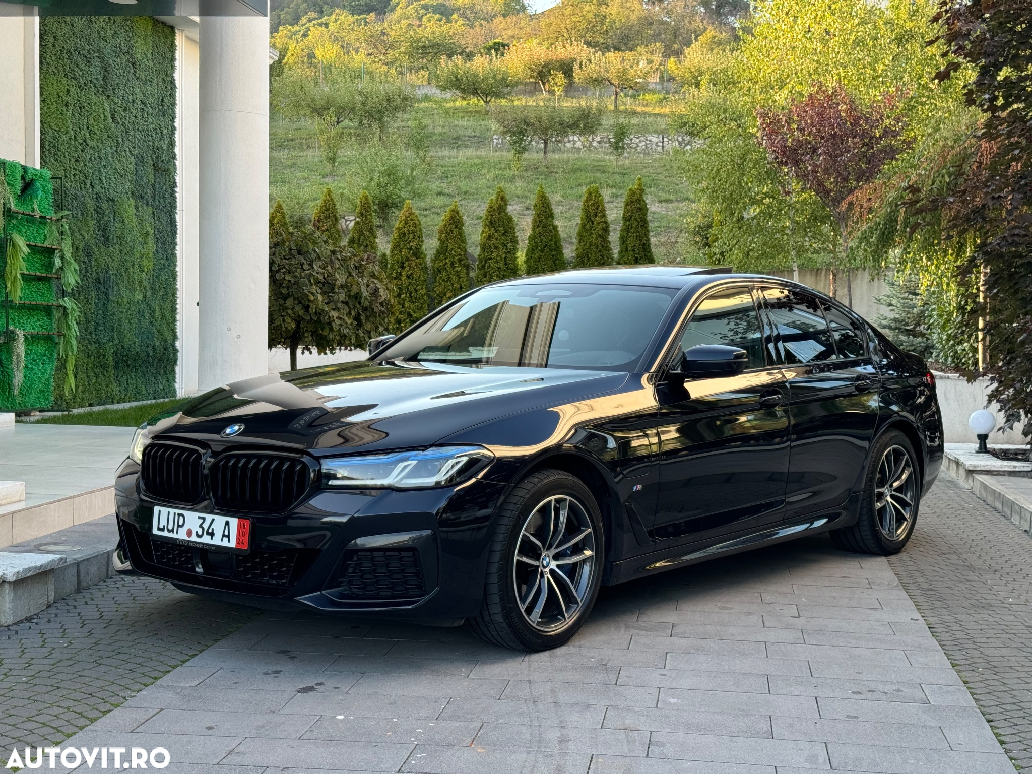 BMW Seria 5 530e Aut. - 10