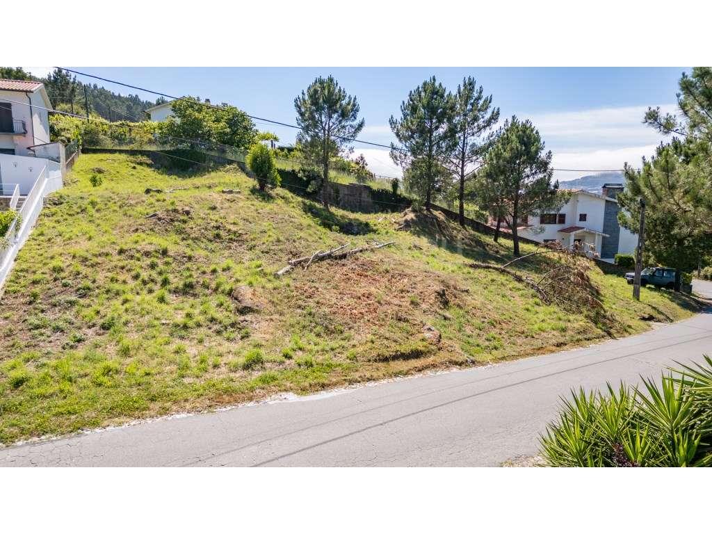 Terreno com vista para o Rio Minho. - Grande imagem: 4/16