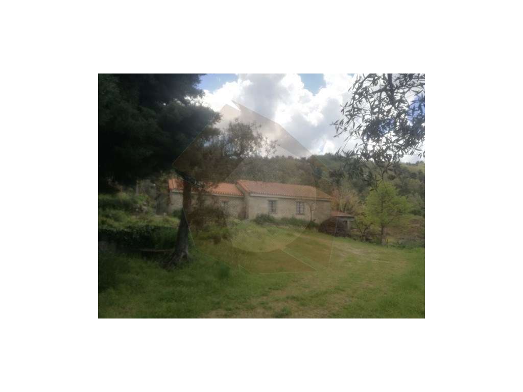 QUINTA AGRICOLA - CELORICO DA BEIRA - Grande imagem: 2/24