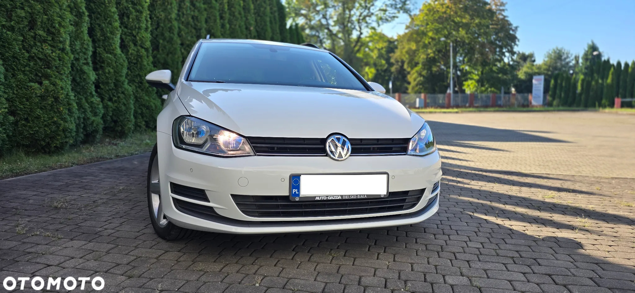 Volkswagen Golf VII 1.6 TDI BMT Trendline EU6 - 2