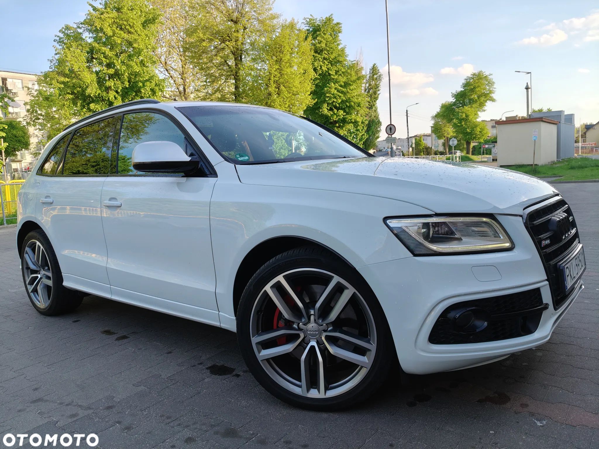 Audi SQ5 3.0 TDI Quattro Competition - 1