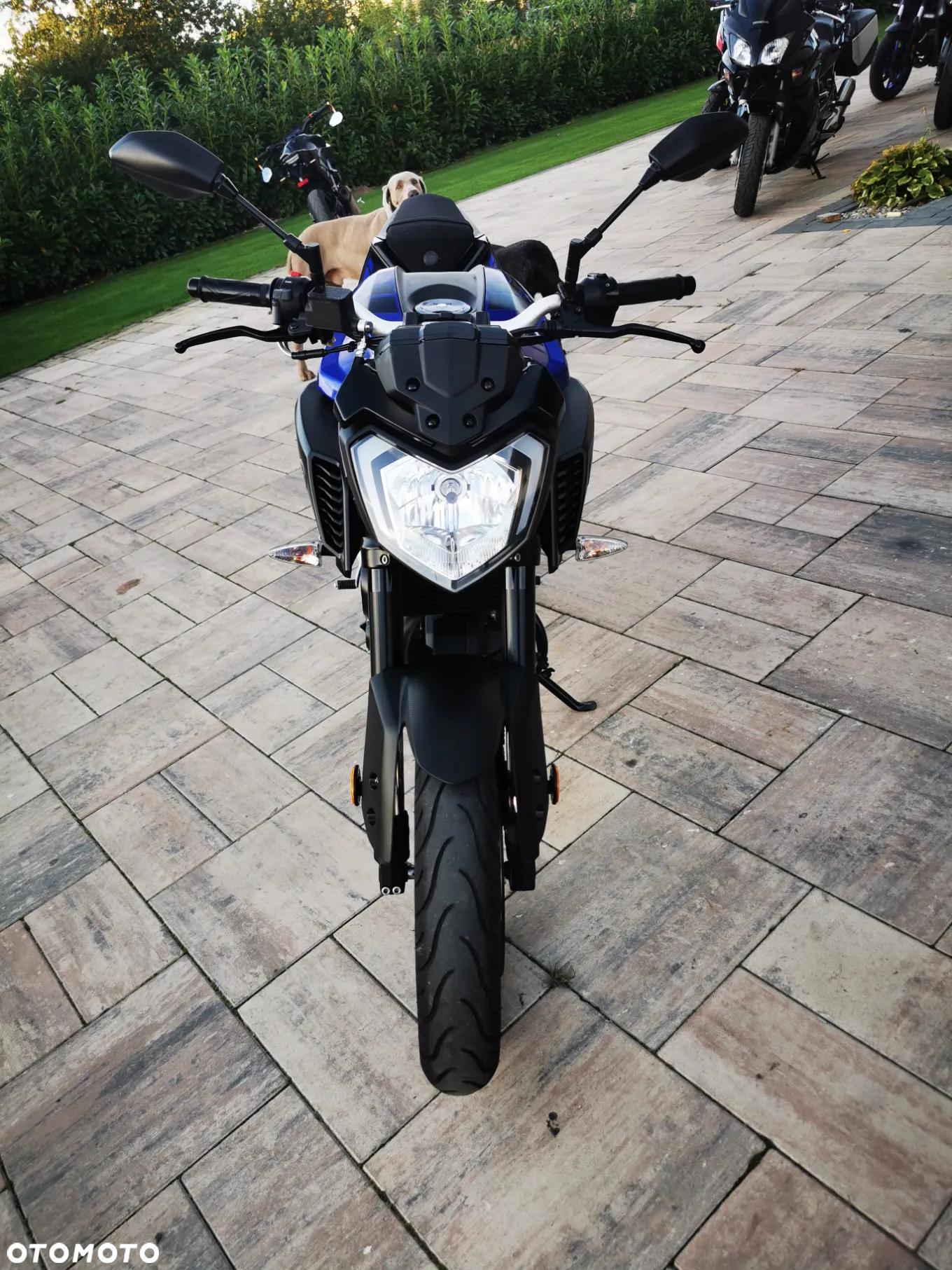 Yamaha MT - 25