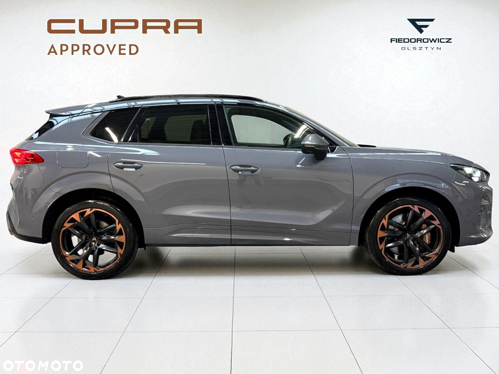 Cupra Terramar 2.0 TSI 4Drive VZ DSG - 2