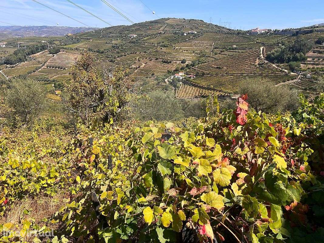 Moradia T1 para venda - Grande imagem: 2/8