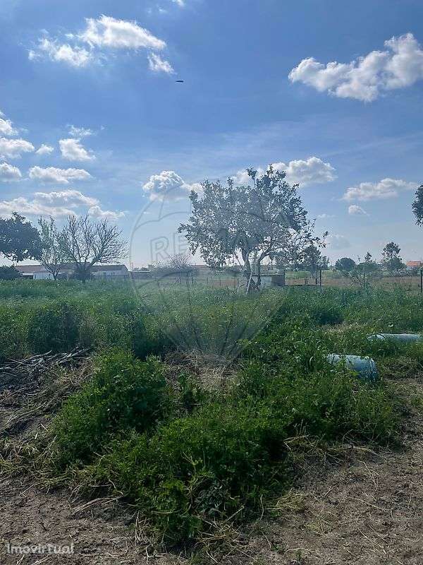 Moradia T4 para venda - Grande imagem: 2/3