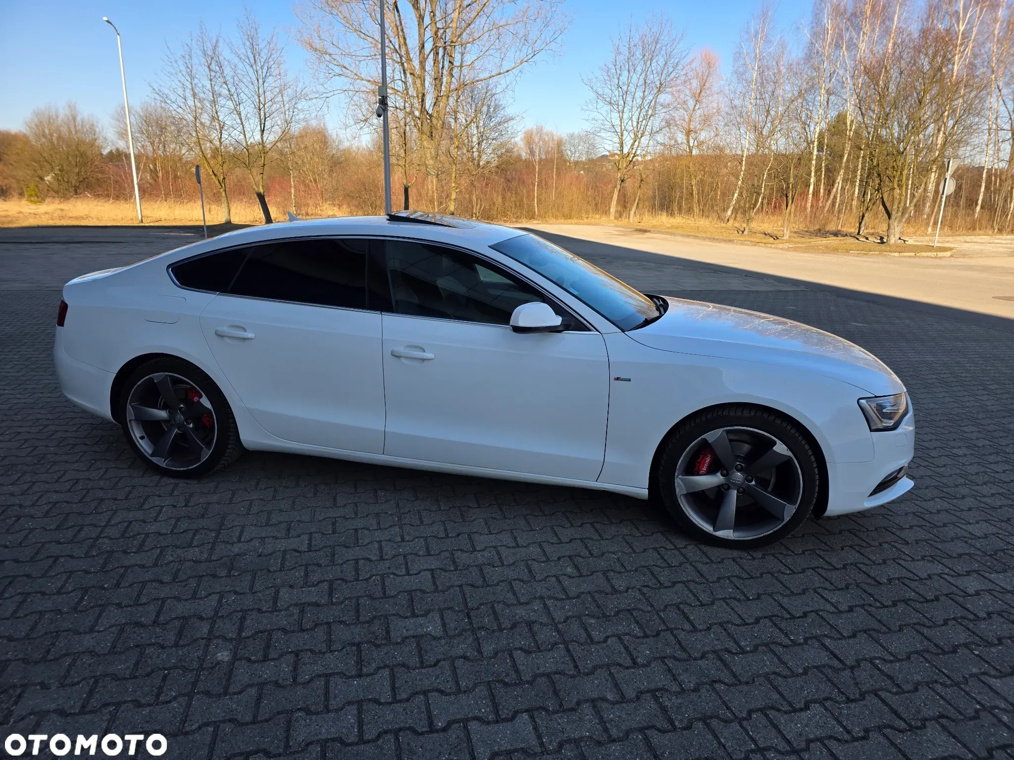 Audi A5 2.0 TDI Sportback quattro DPF S tronic - 5