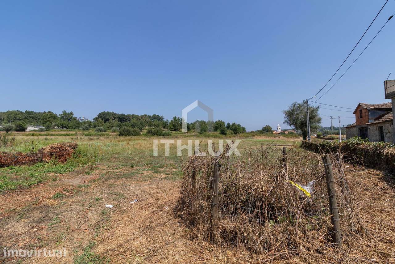 Terreno em Sabugosa - Tondela - Grande imagem: 3/8