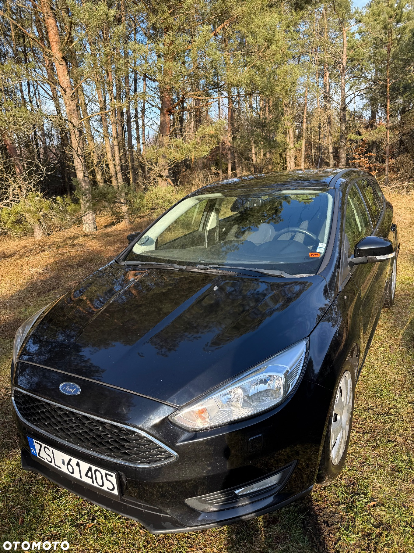 Ford Focus 1.5 EcoBlue Start-Stopp-System ACTIVE STYLE - 12