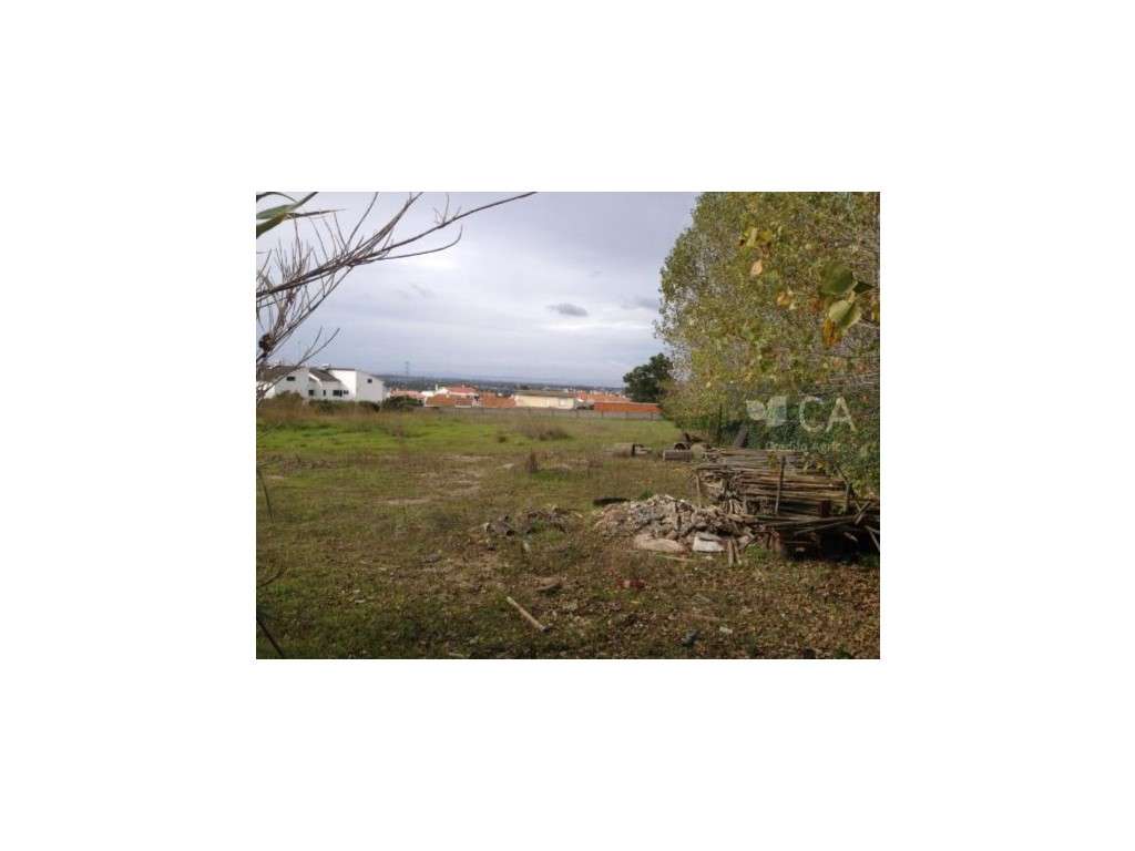 QUINTA DAS FAÇALVAS - TERRENO - Grande imagem: 5/5