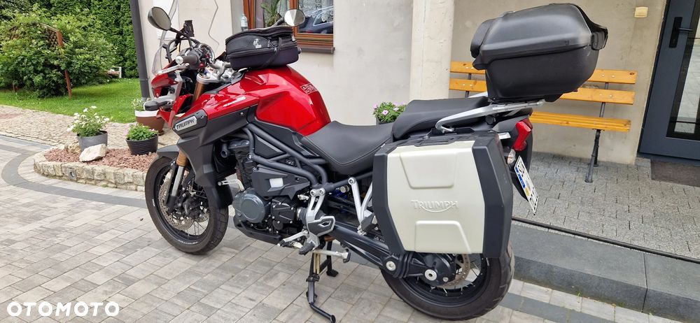 Triumph Tiger - 21