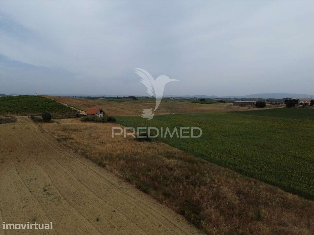 Casa de Campo para Restaurar com Terreno e Poço - Sobral, Santarém - Grande imagem: 5/22
