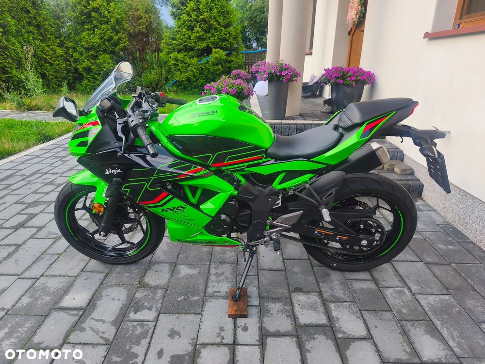 Kawasaki Ninja - 7