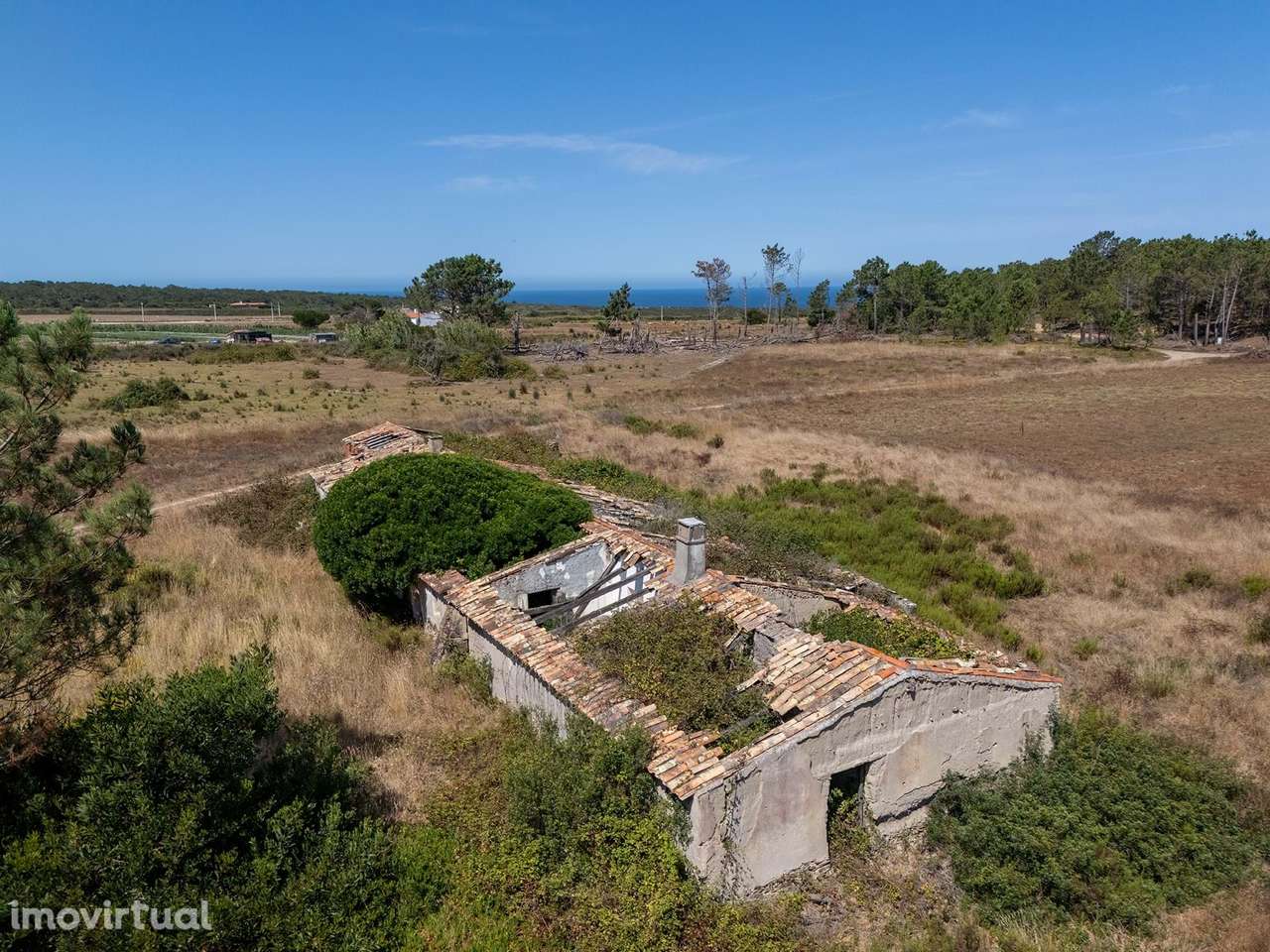 TERRENO RÚSTICO COM 2 RUINAS À BEIRA-MAR NO ROGIL, ALJEZUR - Grande imagem: 5/14