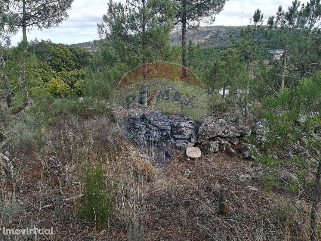 Terreno  para venda - Grande imagem: 5/5