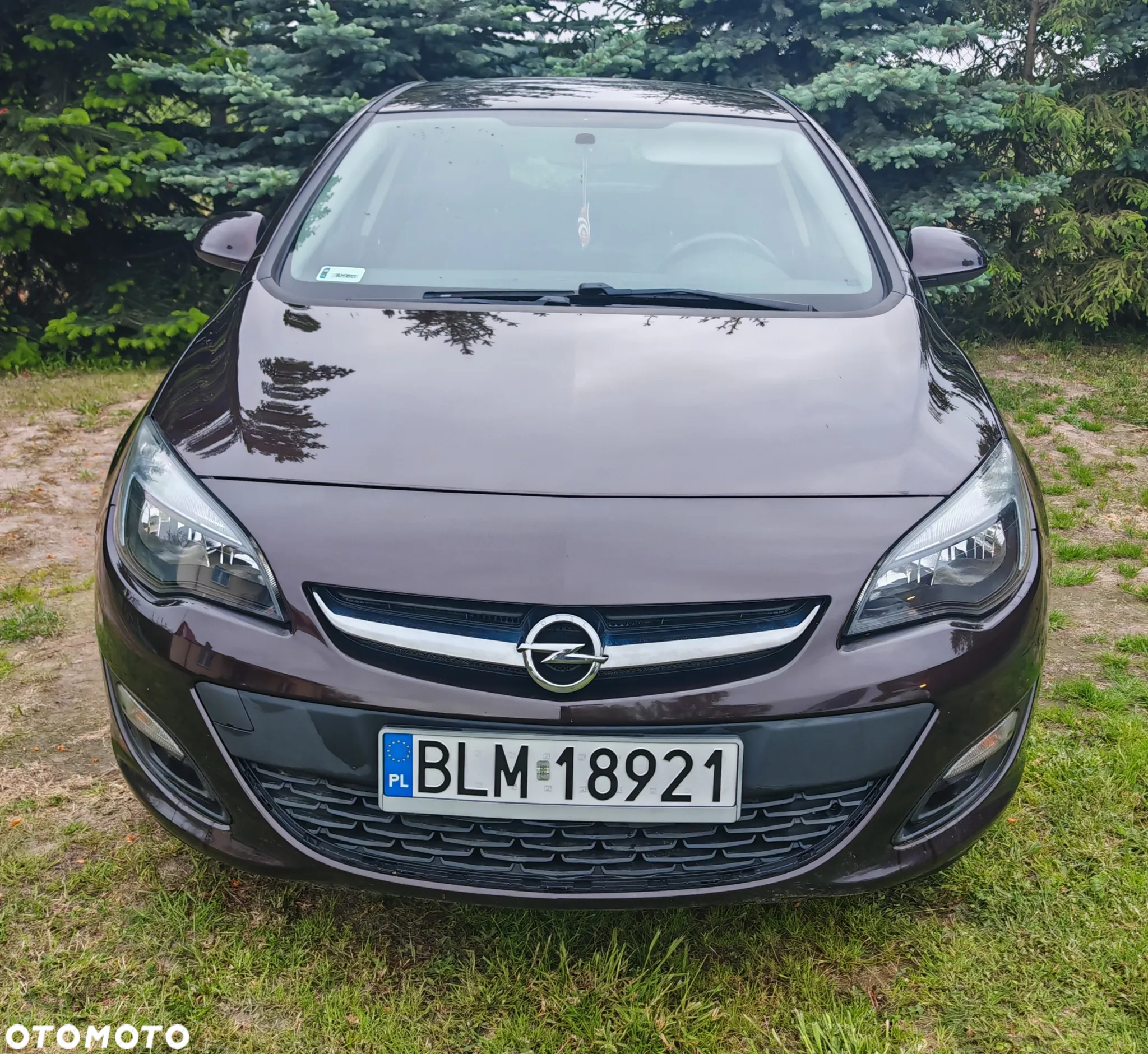 Opel Astra IV 1.6 Active - 2