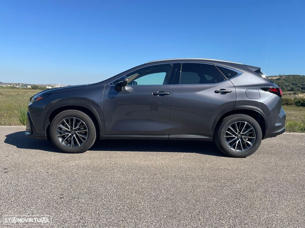 Lexus NX 450h+ Executive Plus - 36