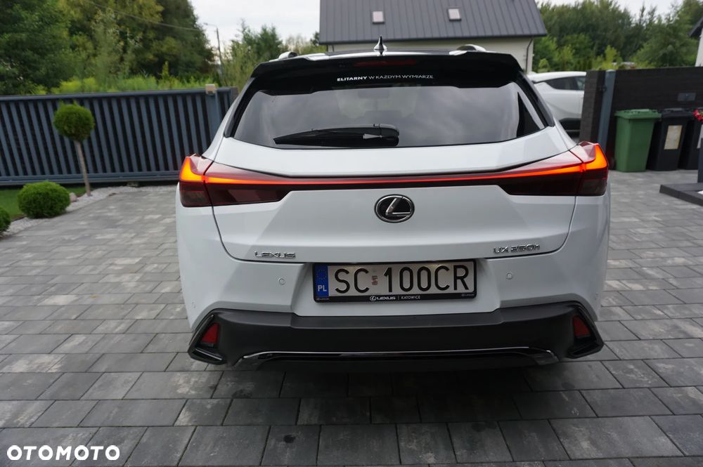 Lexus UX 250h GPF F Sport 2WD - 6