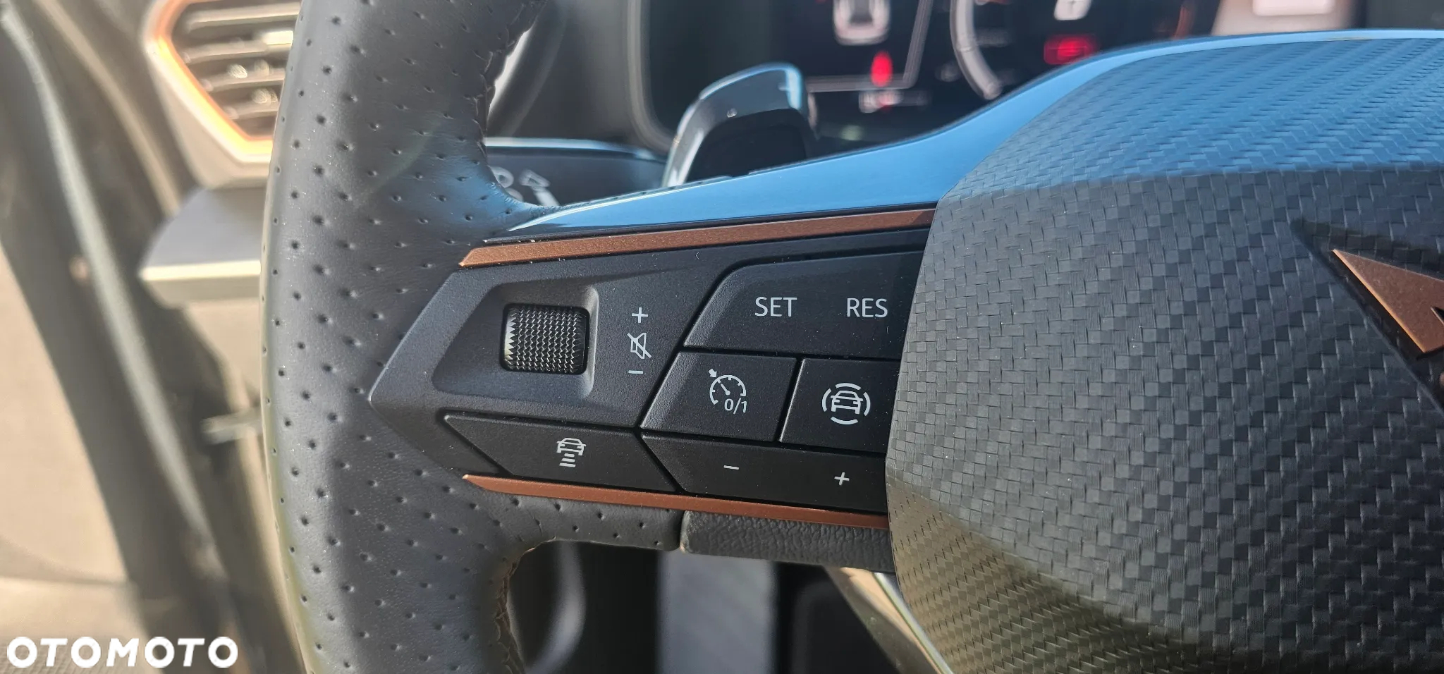 Cupra Formentor 1.5 TSI DSG - 10