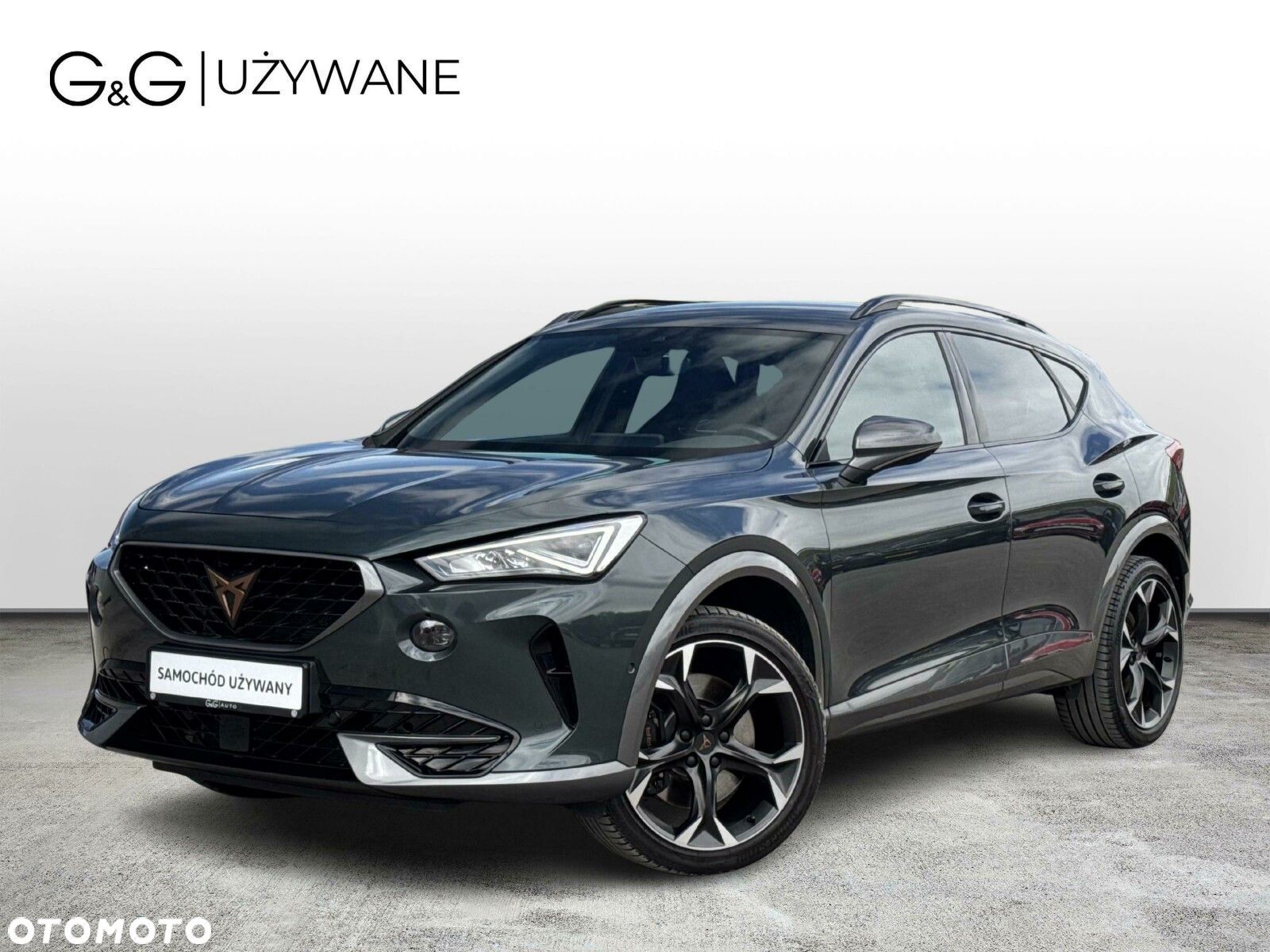 Cupra Formentor 2.0 TSI 4Drive VZ DSG - 1
