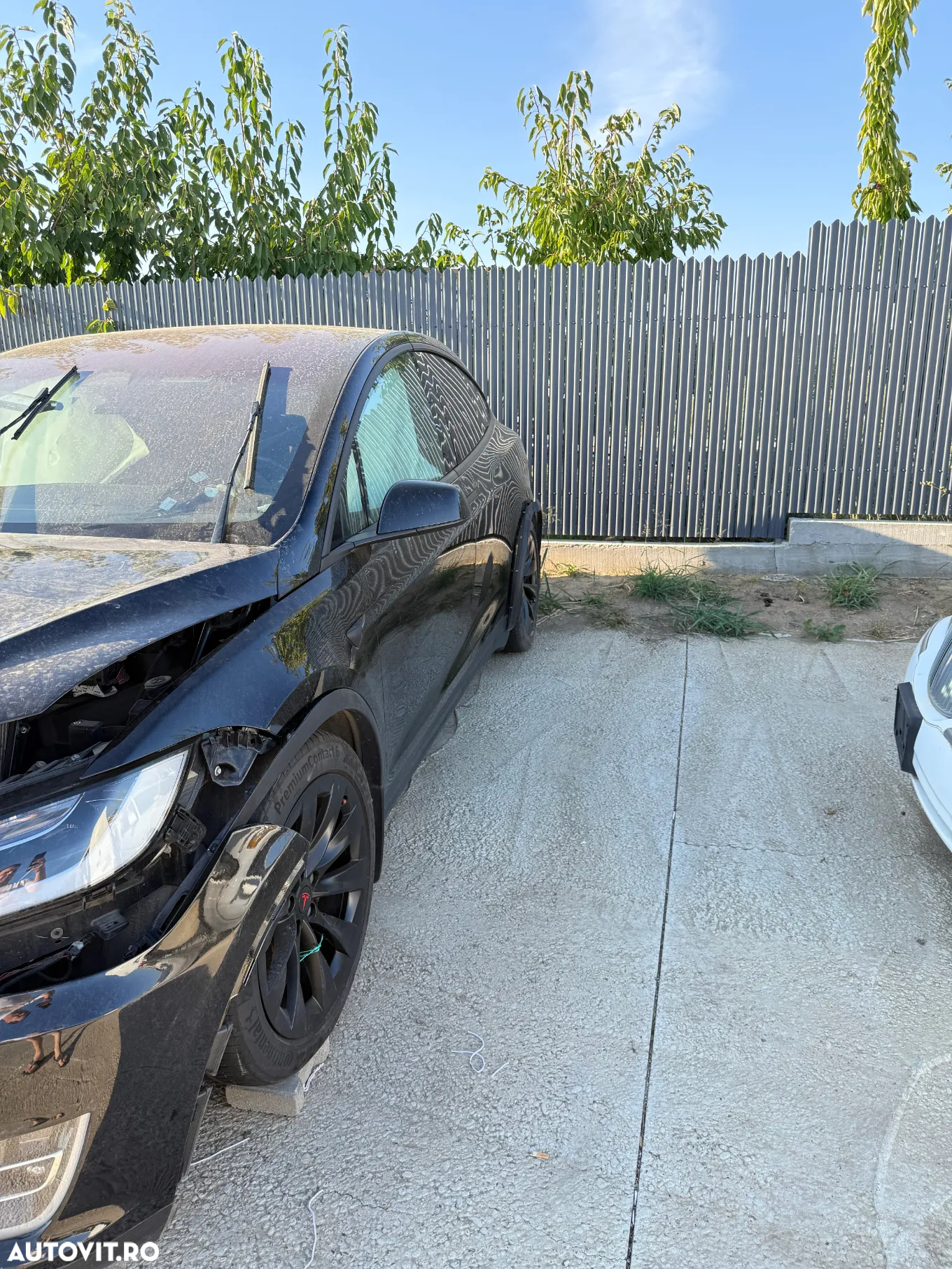 Tesla Model X - 7