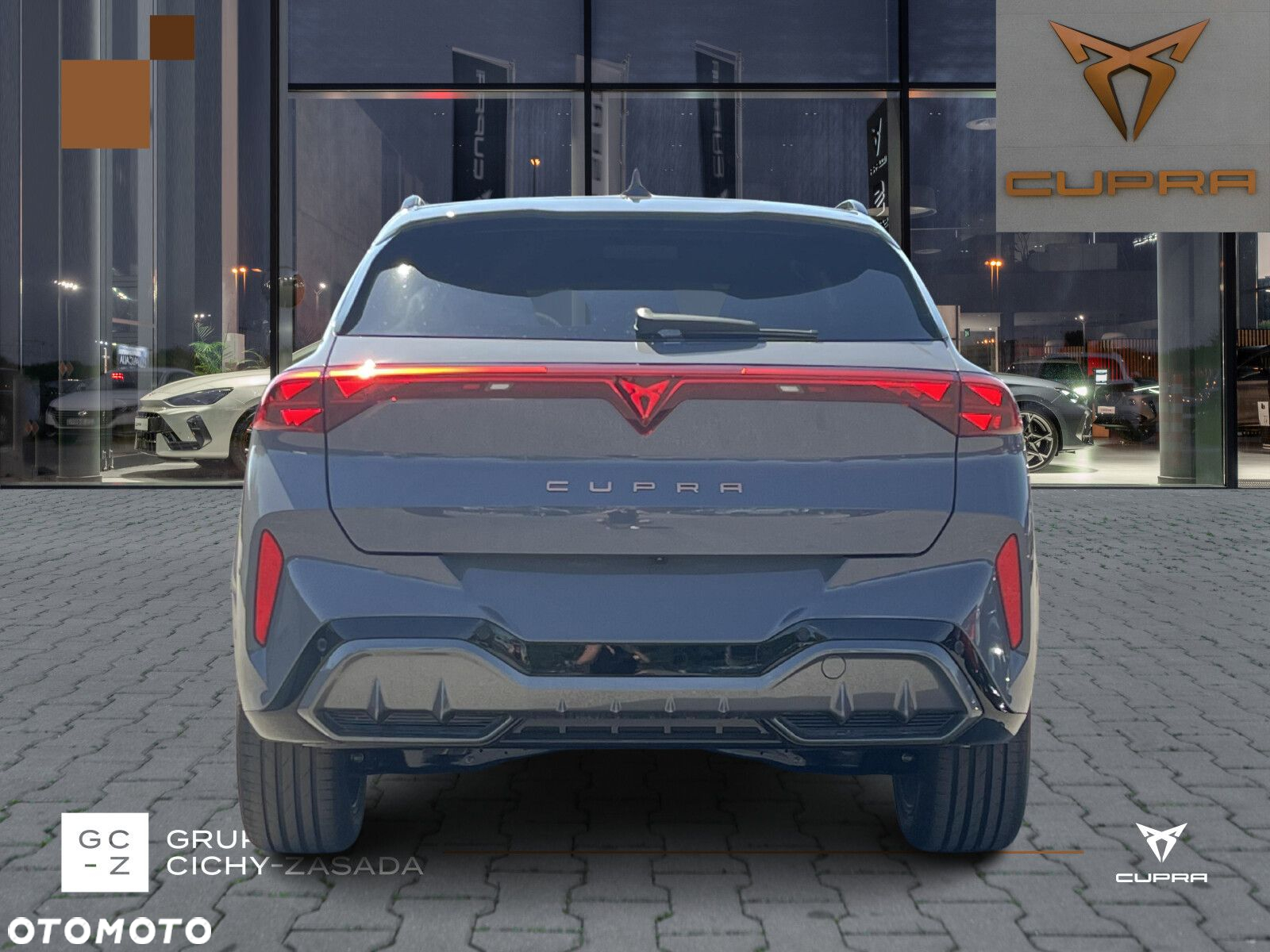 Cupra Terramar - 4