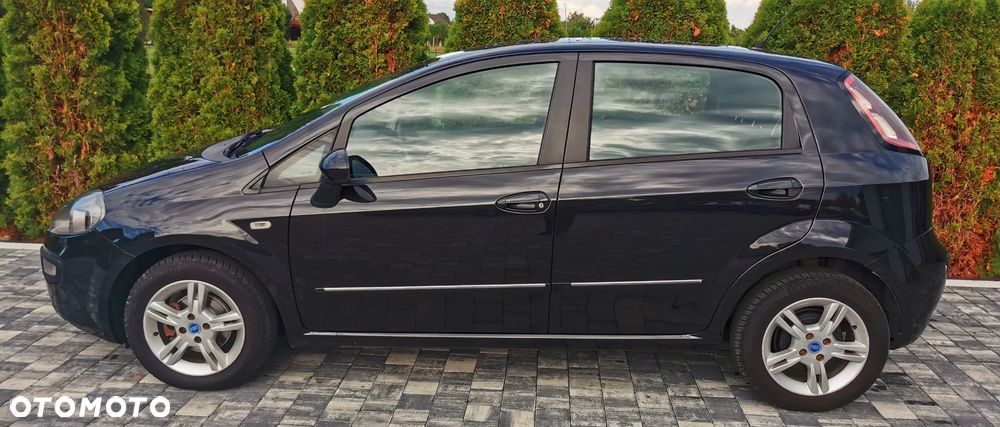 Fiat Punto Evo - 19