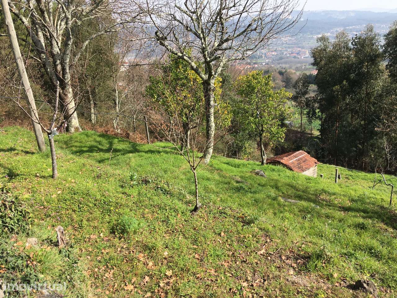Terreno Urbano em Campo com Acesso Pavimentado - Grande imagem: 3/4