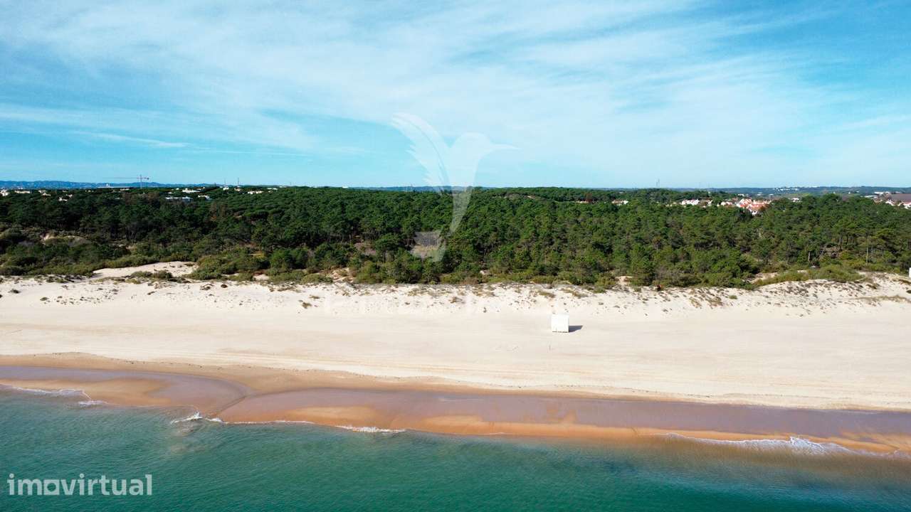 Terreno com 31.5ha com 500 metros de frente de praia - Grande imagem: 5/19
