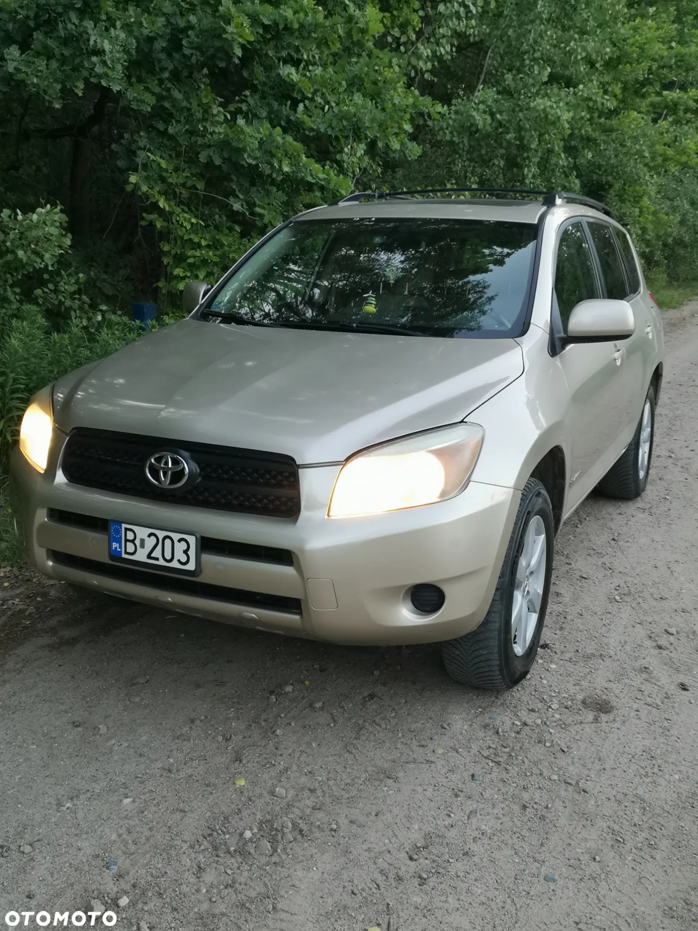 Toyota RAV4 - 3