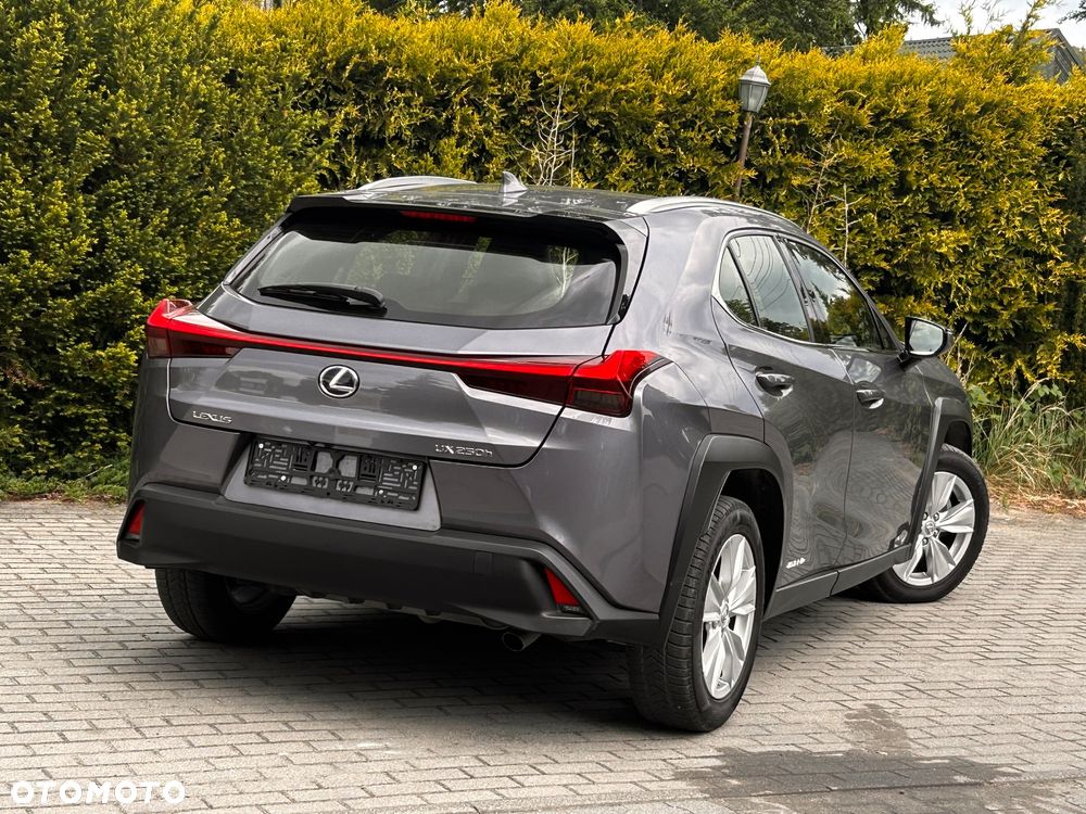 Lexus UX 250h (E-FOUR) Executive Line - 19
