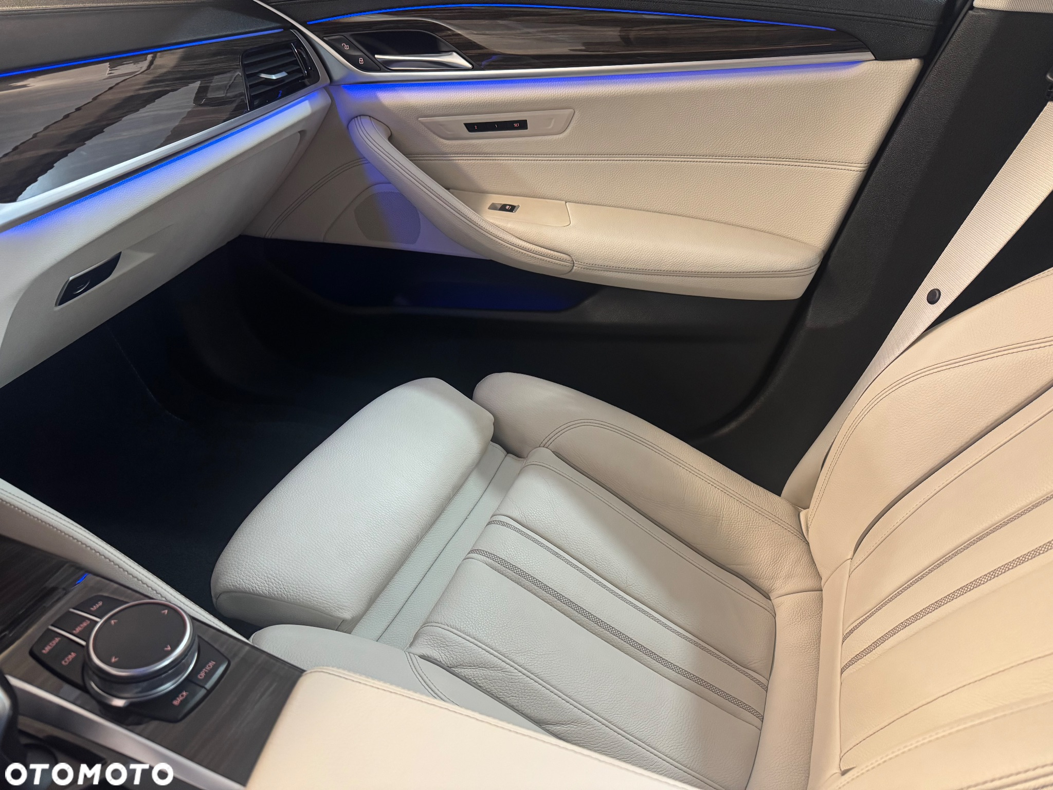 BMW Seria 5 530d Luxury Line sport - 22