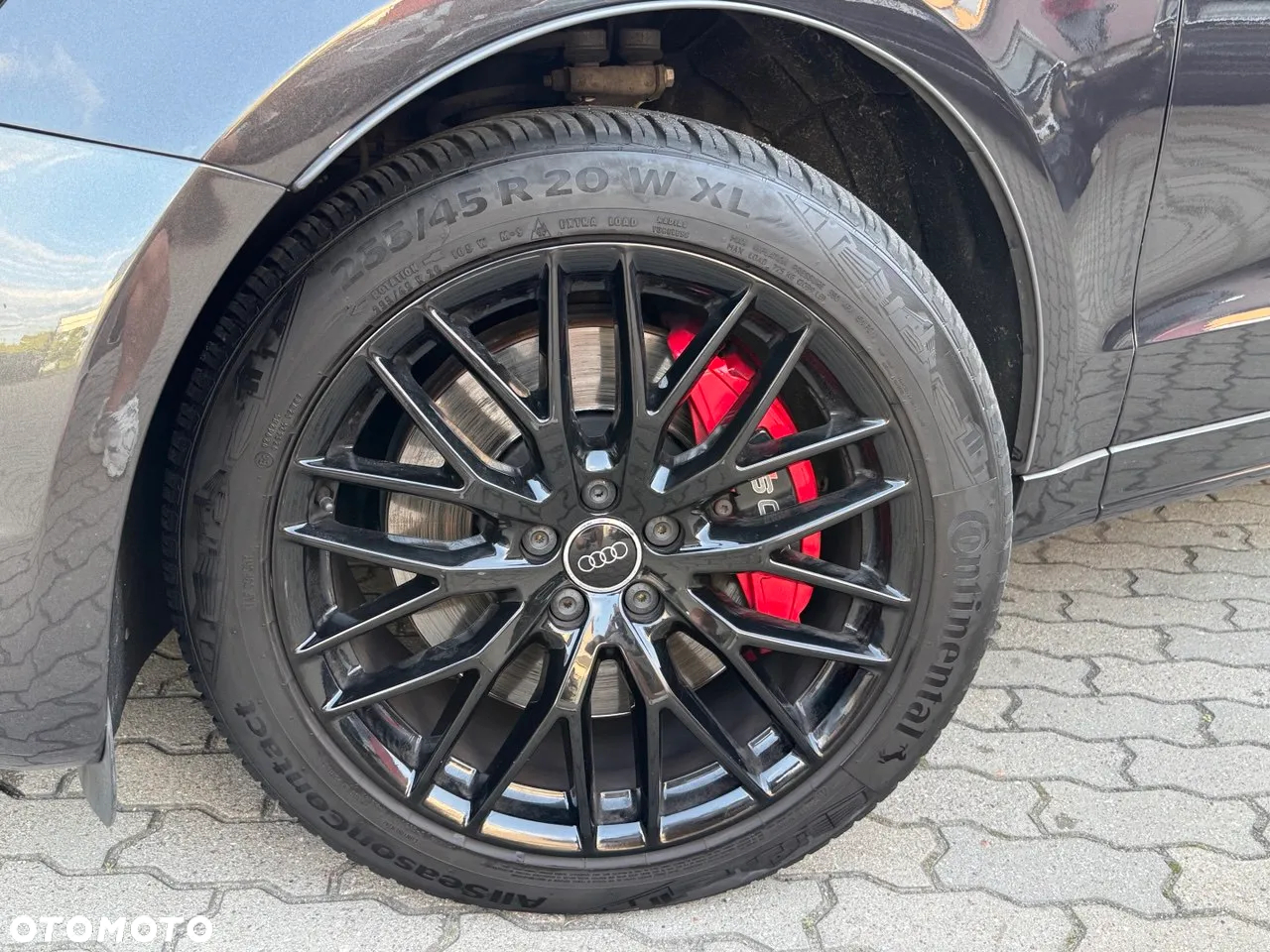 Audi SQ5 3.0 TDI Plus Quattro Tiptr - 10