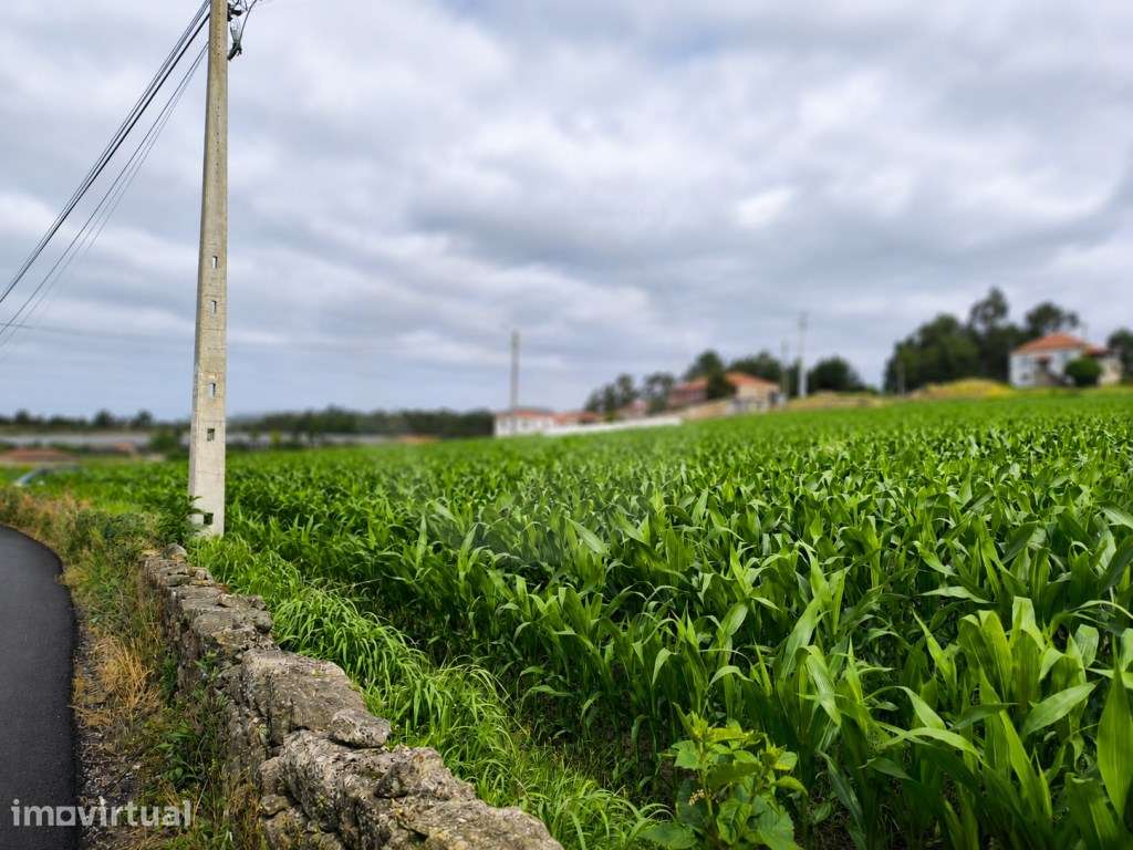 Fantástico Lote com 4.835 m² em Parada Vila do Conde - Grande imagem: 2/28