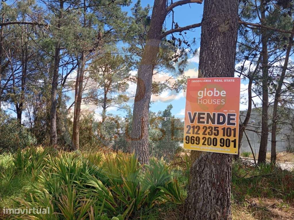 Lote de Terreno para construção de Moradia T4 - Grande imagem: 2/13