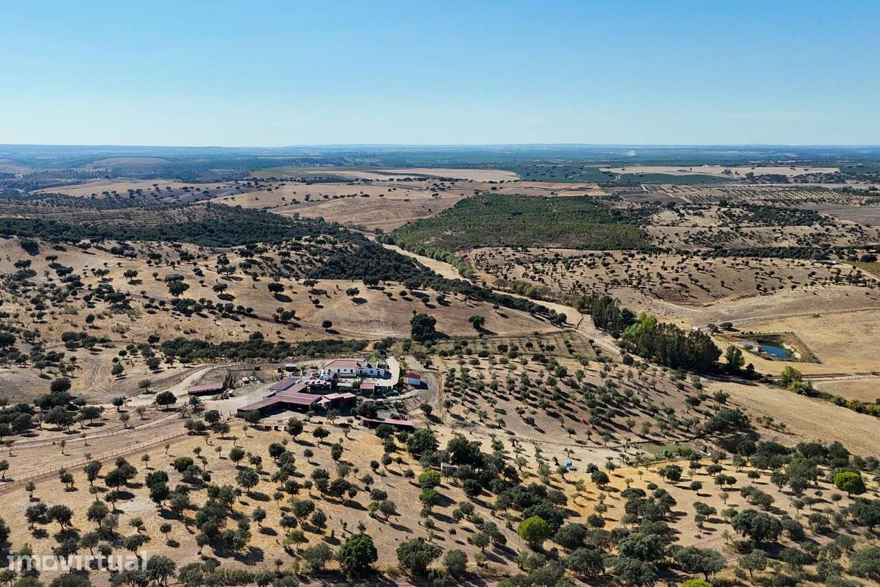 Herdade de 64 ha a 30 minutos de Évora que pode ser o seu refúgio no A - Grande imagem: 5/42