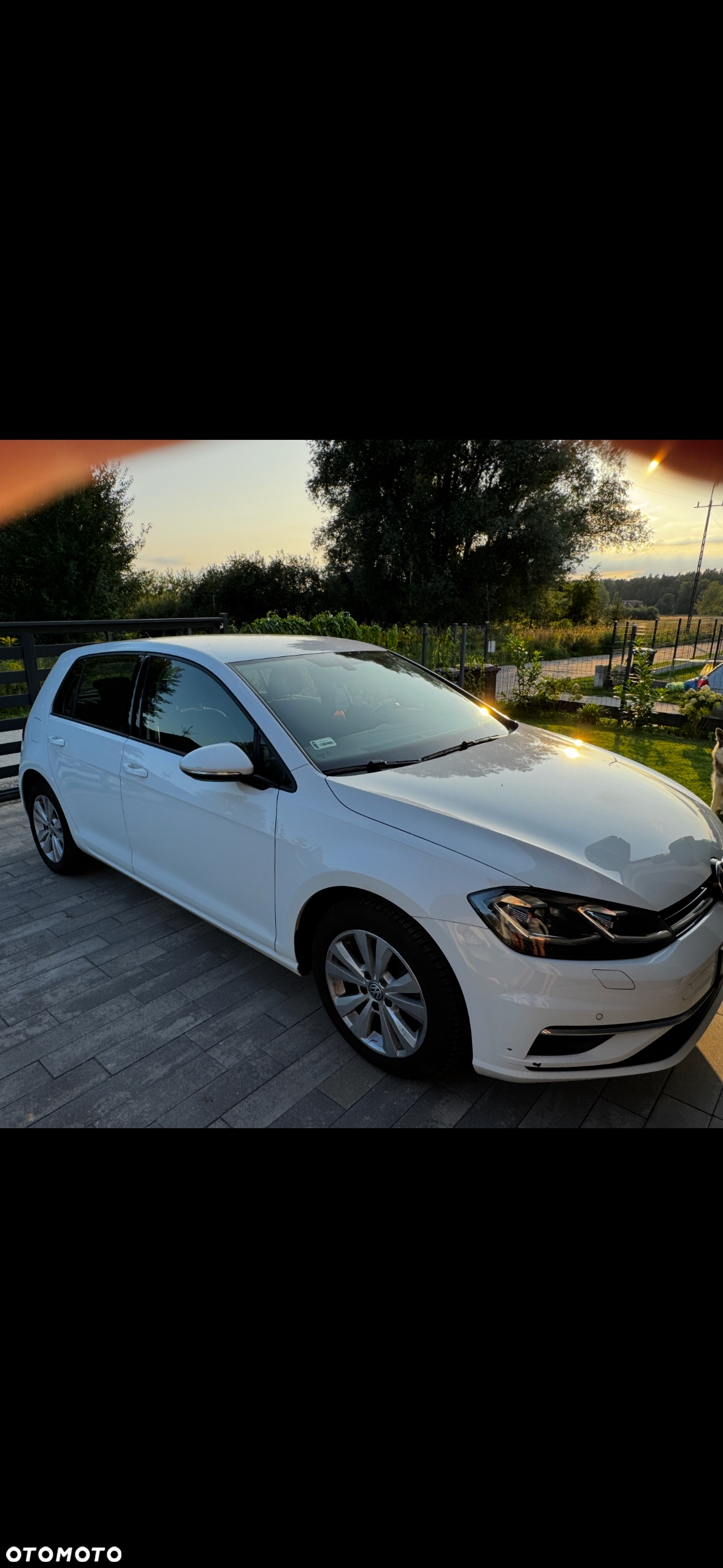 Volkswagen Golf VII 1.6 TDI BMT Comfortline - 11