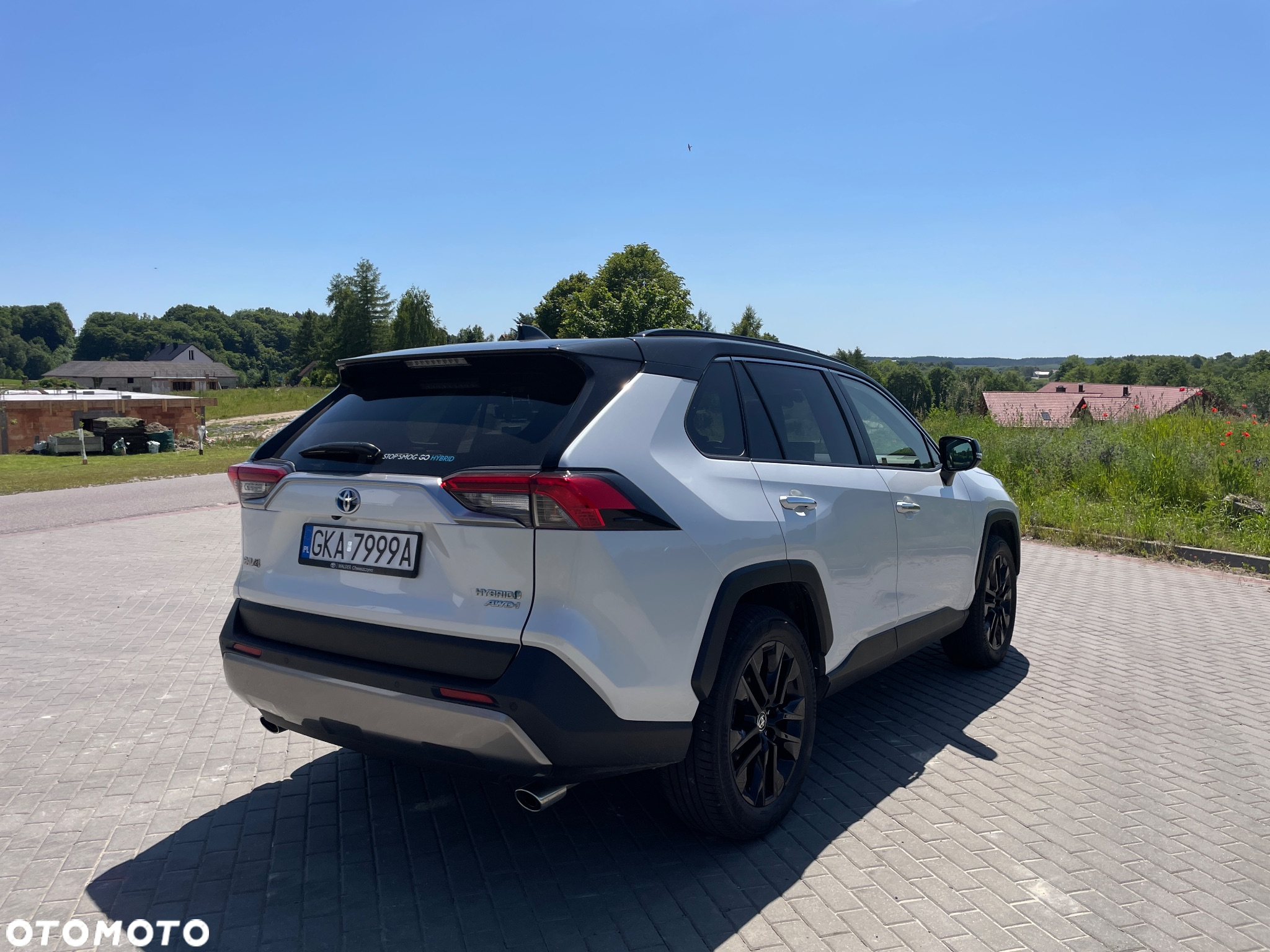 Toyota RAV4 2.5 Hybrid Executive 4x4 - 5