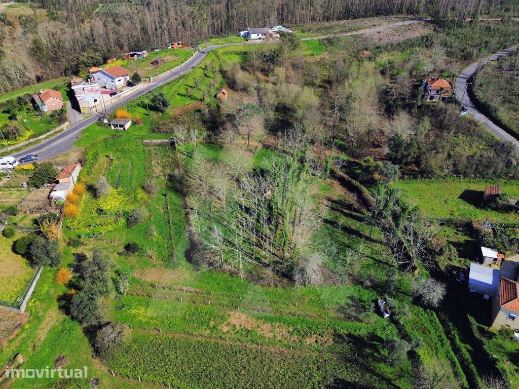 Terreno em Jafafe - Macinhata do Vouga - Grande imagem: 2/18