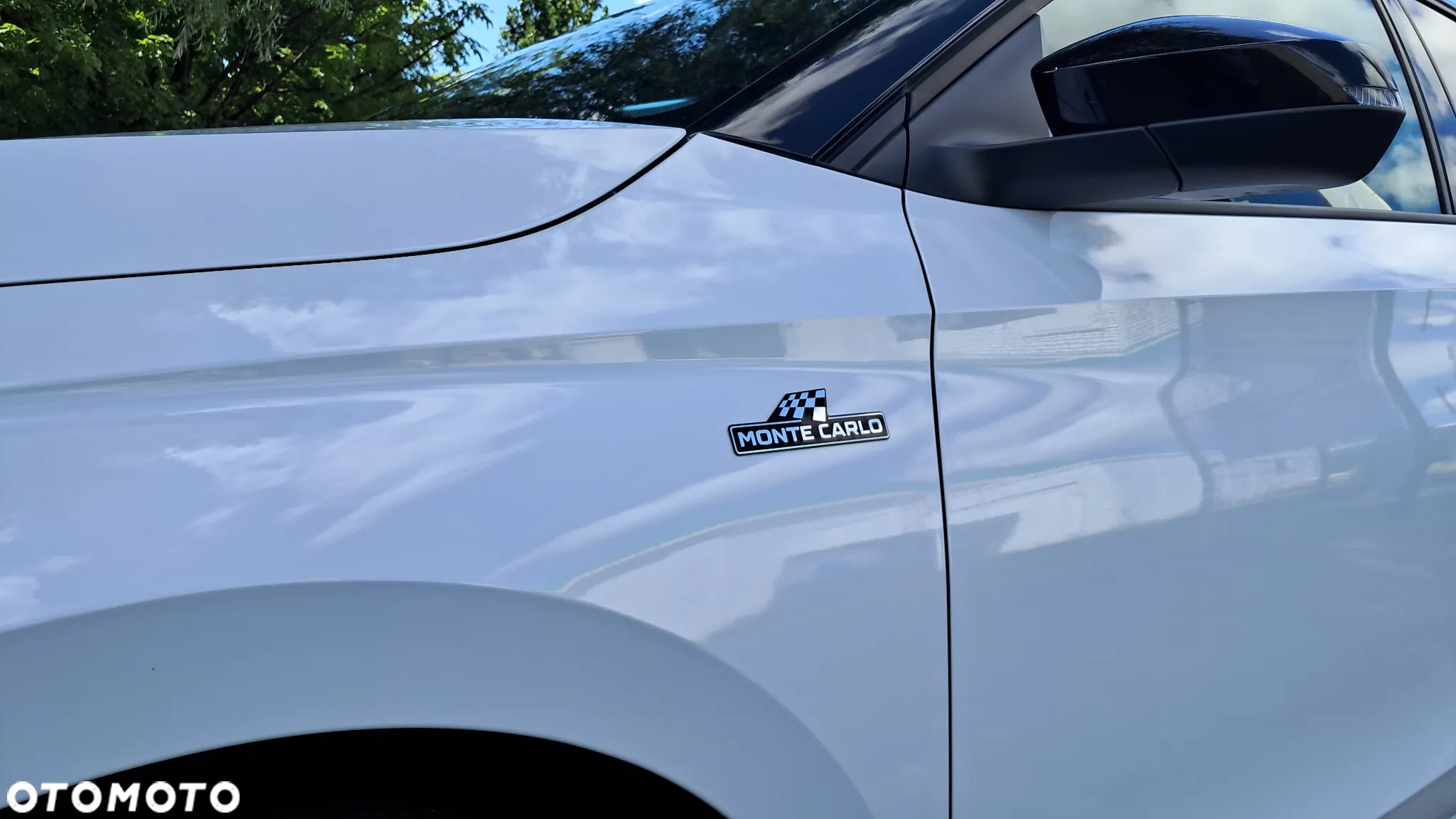 Skoda Fabia 1.0 TSI Monte Carlo - 32