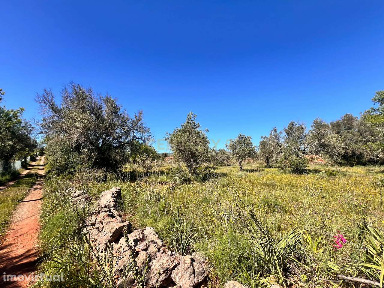 Terreno rústico com 7360m2 I Entre São Bartolomeu de Messines e Padern - Grande imagem: 5/5