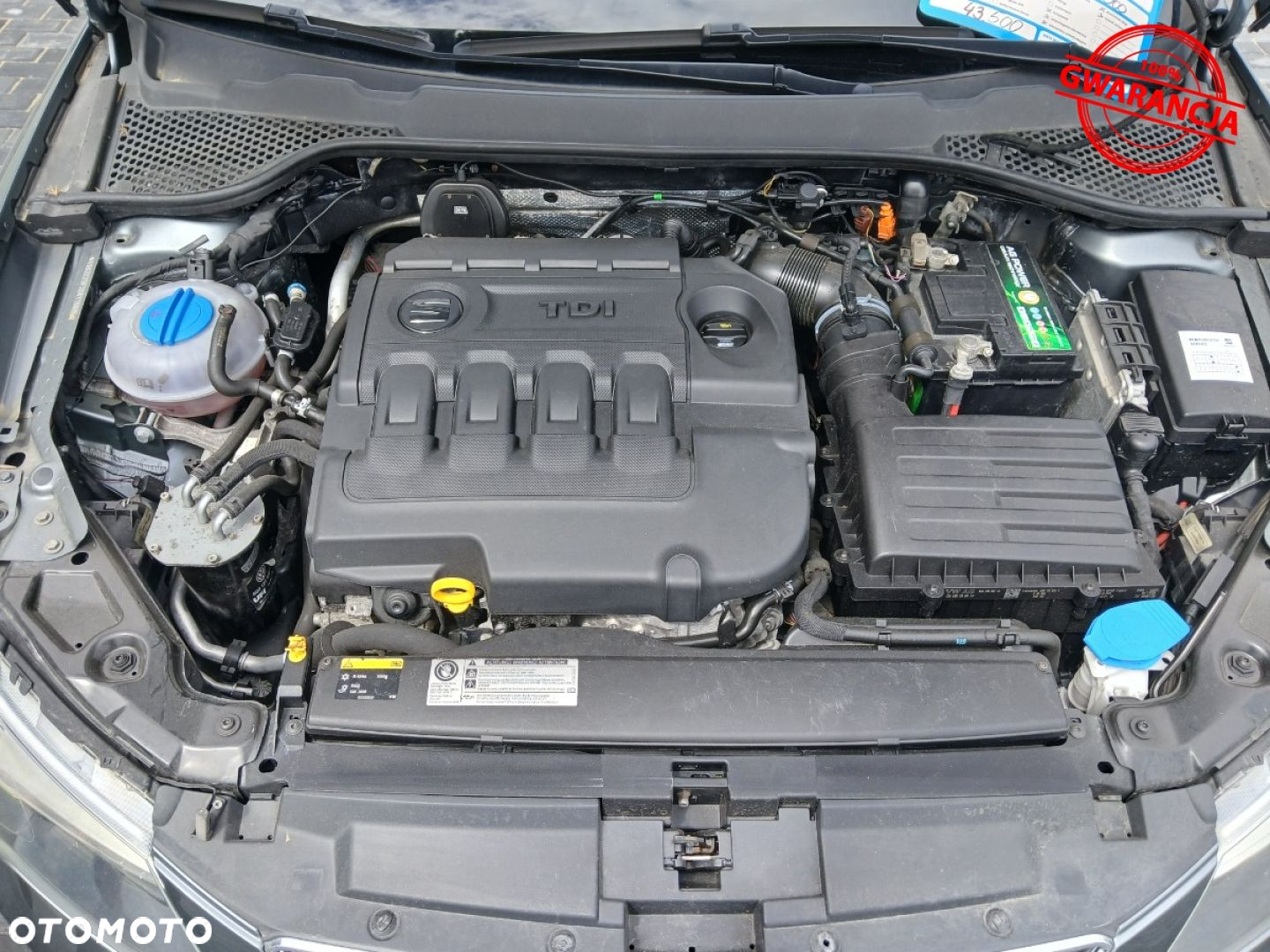 Seat Leon - 40