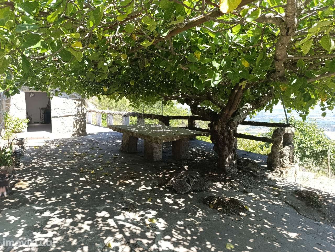 Quinta 3.8Ha com Moradia na Serra da Estrela – Orjais - Grande imagem: 3/60