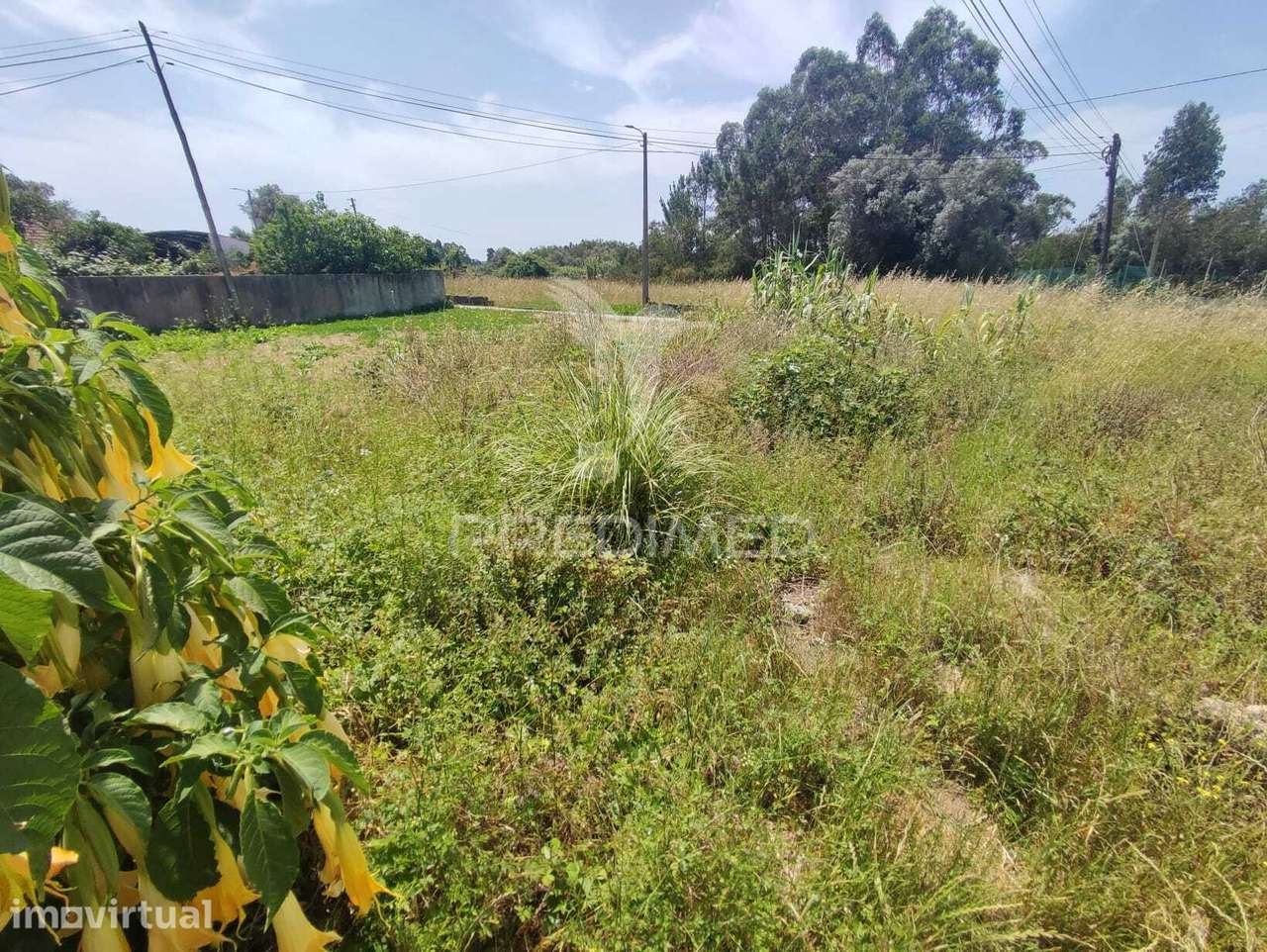 Terreno com 2 Frentes, na  Sôsa (Vagos) - Grande imagem: 3/10