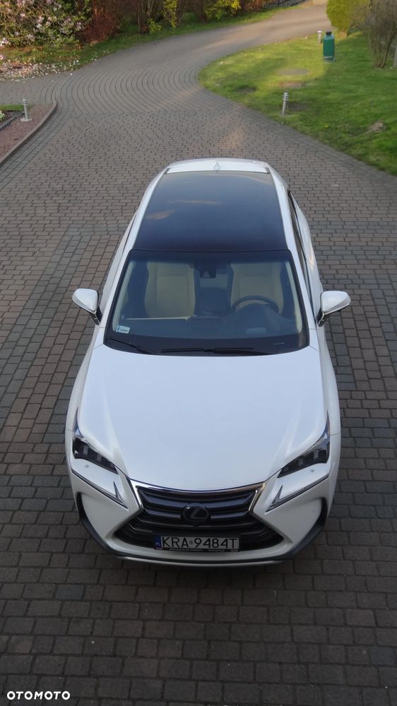 Lexus NX 300h Prestige AWD - 27