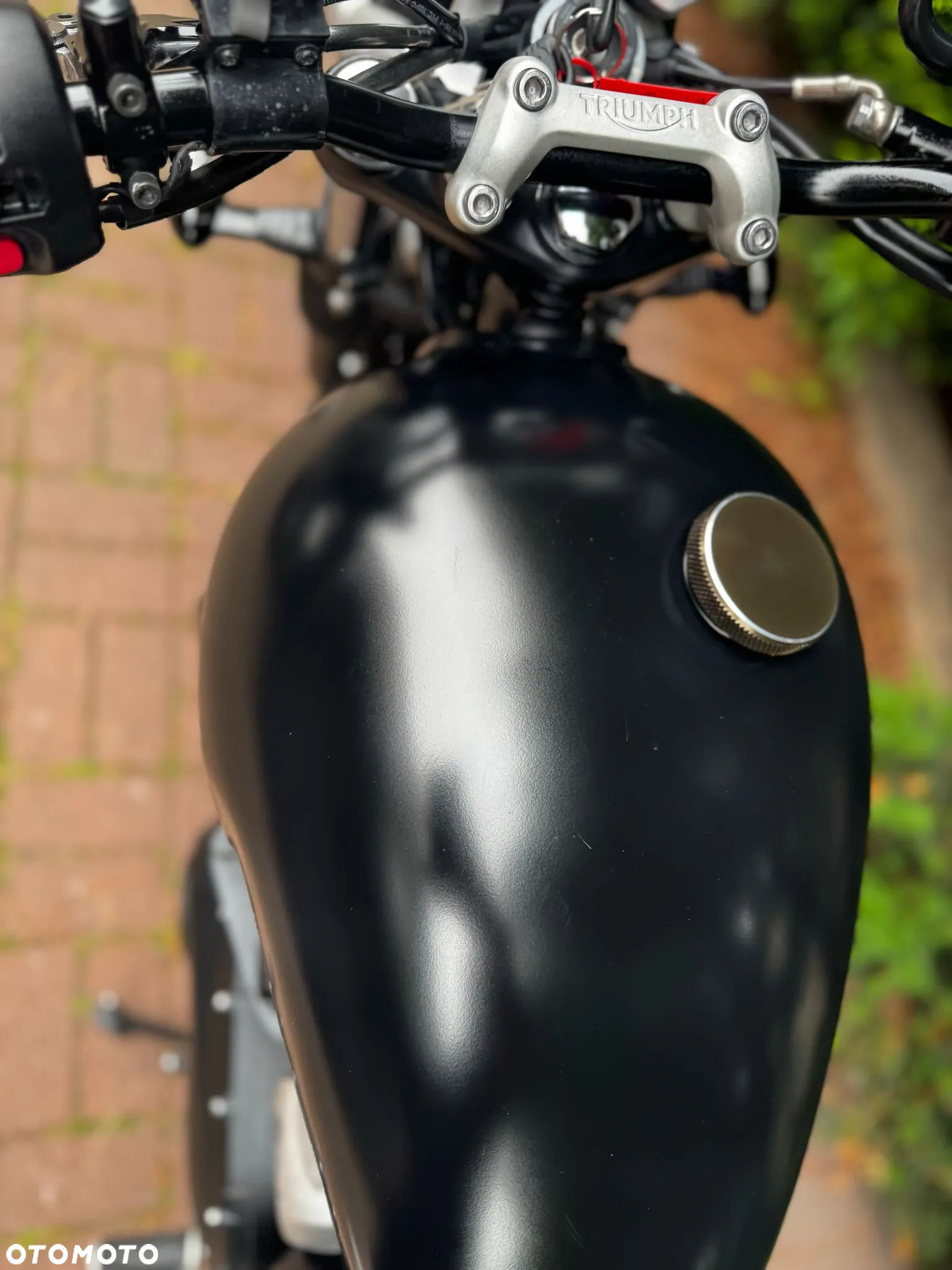 Triumph Speed Twin - 15